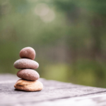 Origines de l'ayurveda